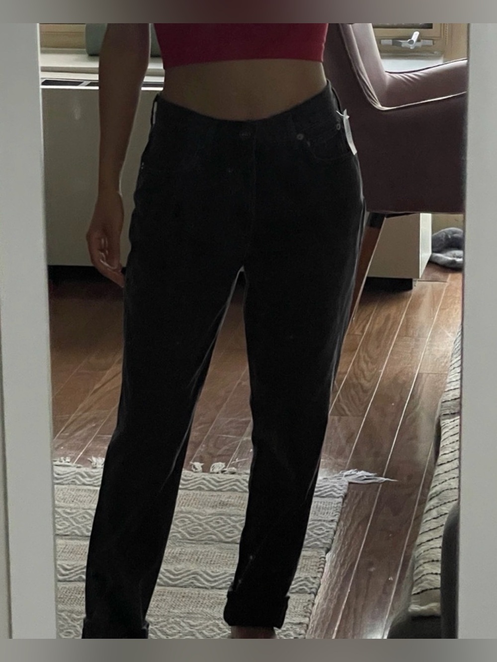 Aritzia Agolde Fen Jean (high-rise Tapered)